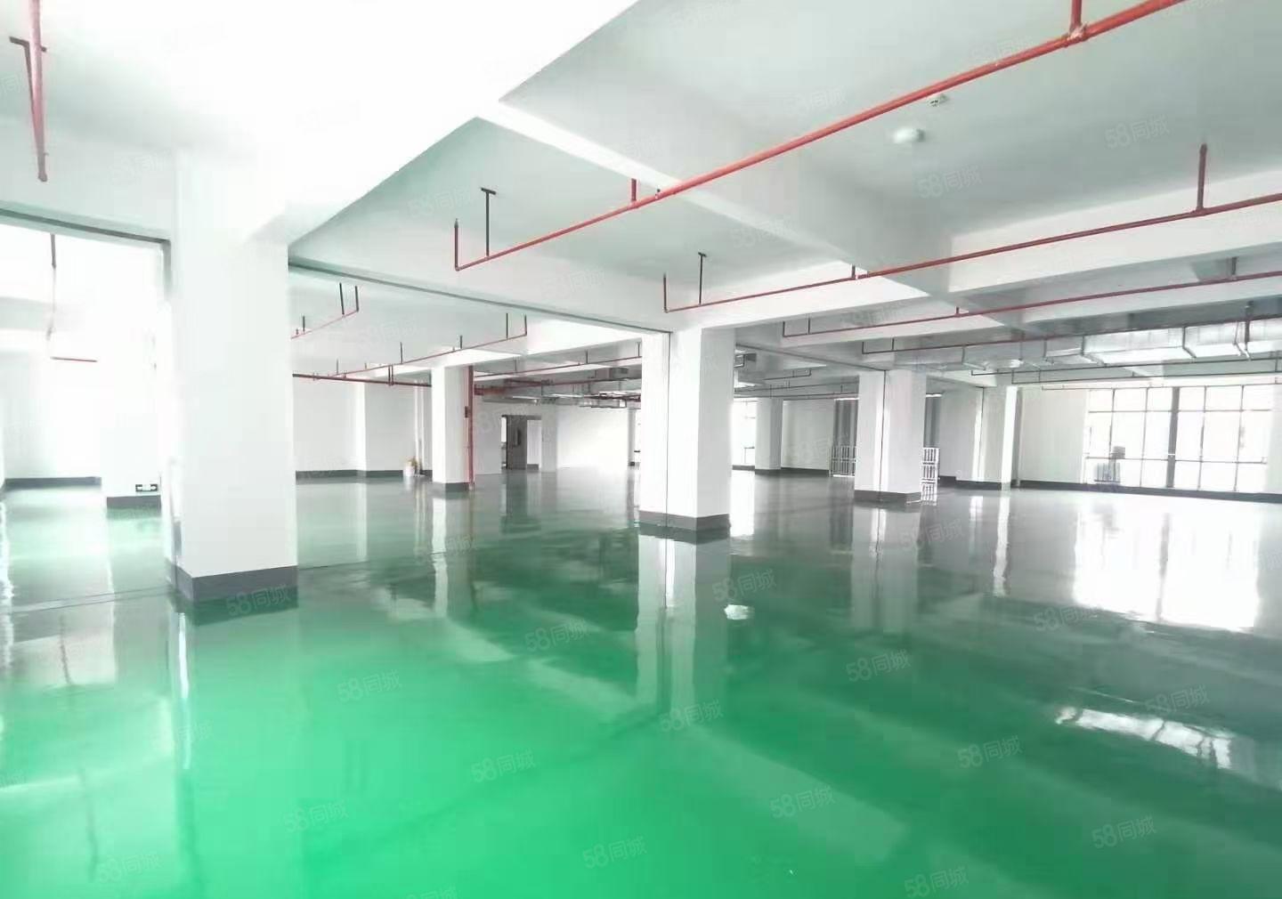 马安德威江誉城旁工业园区带地坪装修1100平出租 租金12元