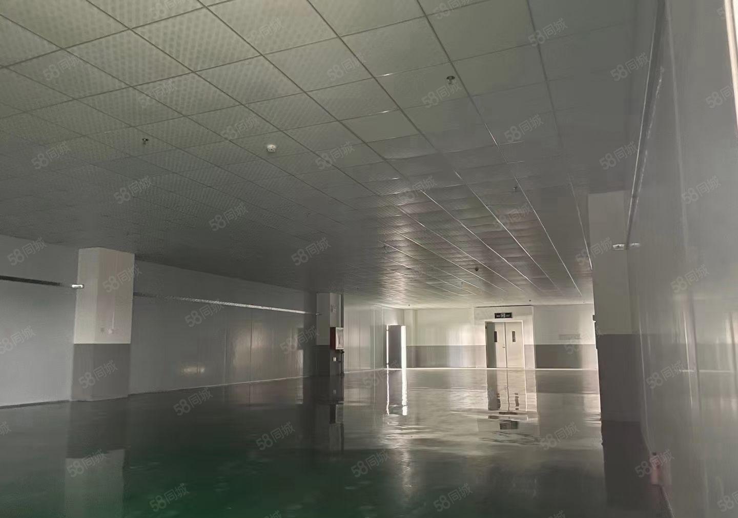 水口新房源带装修的楼上厂房，原房东出租，面积2200平方，