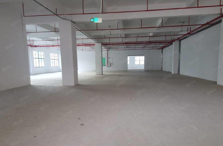 急租原房东马安一楼650平，高6米，可进大车