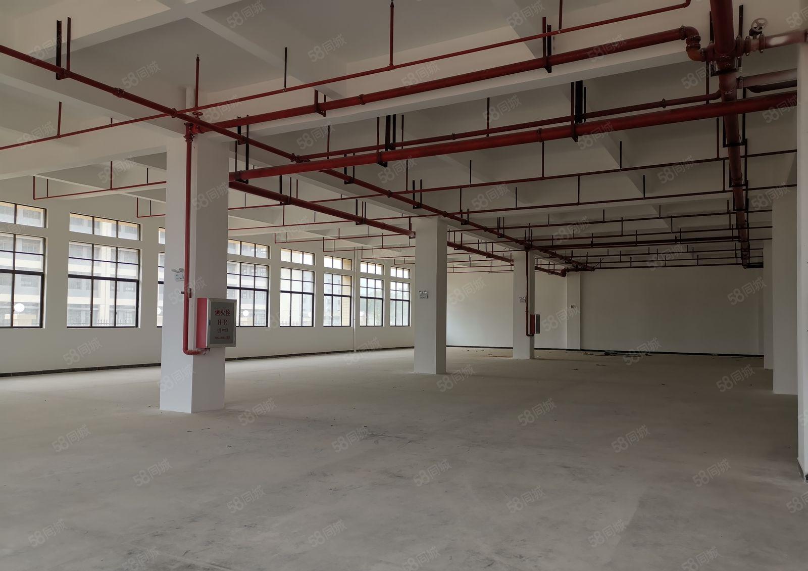 三栋新出一楼厂房1000平 租16元 适合小加工行业