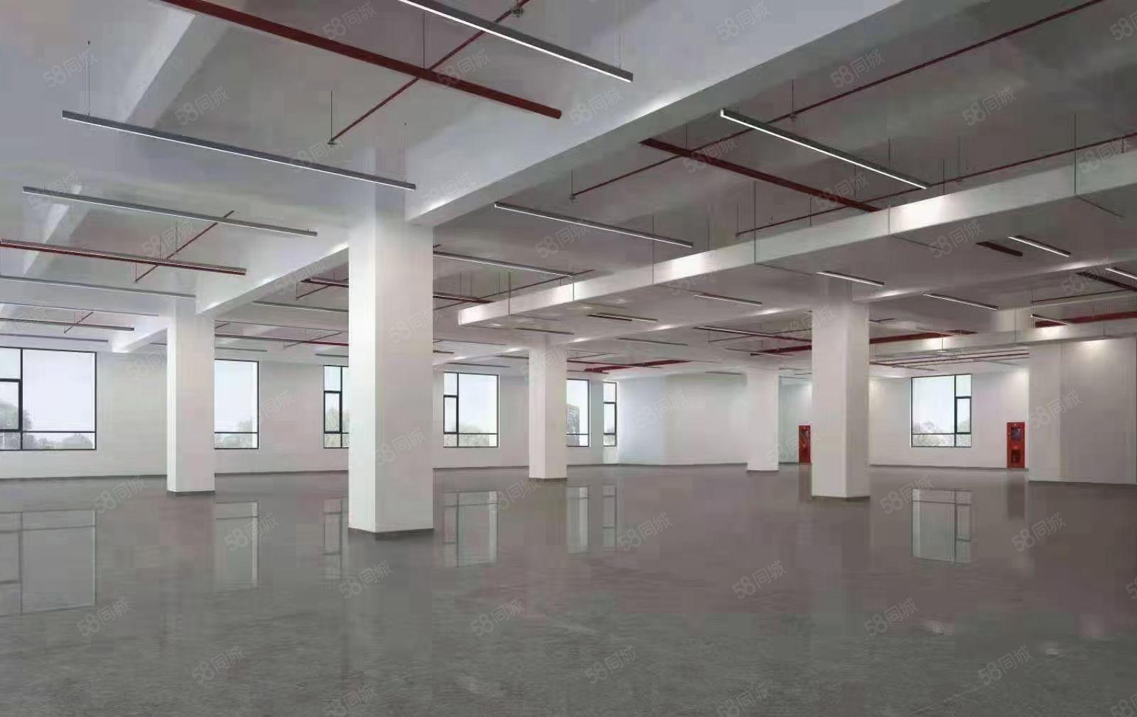 惠城水口东江湾千亿产业园原房东全新红本科技园 1400平起租