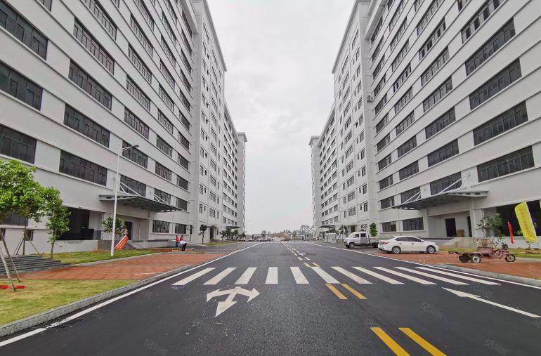 惠州水口500平起原房东带精装修厂房出租水电到车间拎包入驻