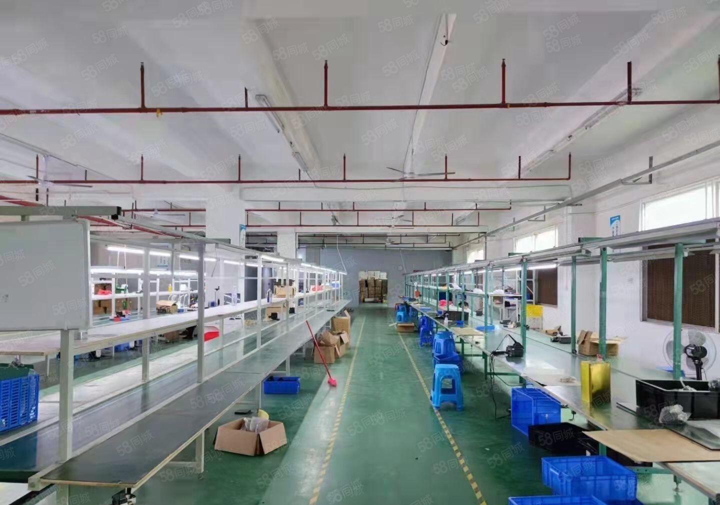 三栋新出独院钢结构，空地超大