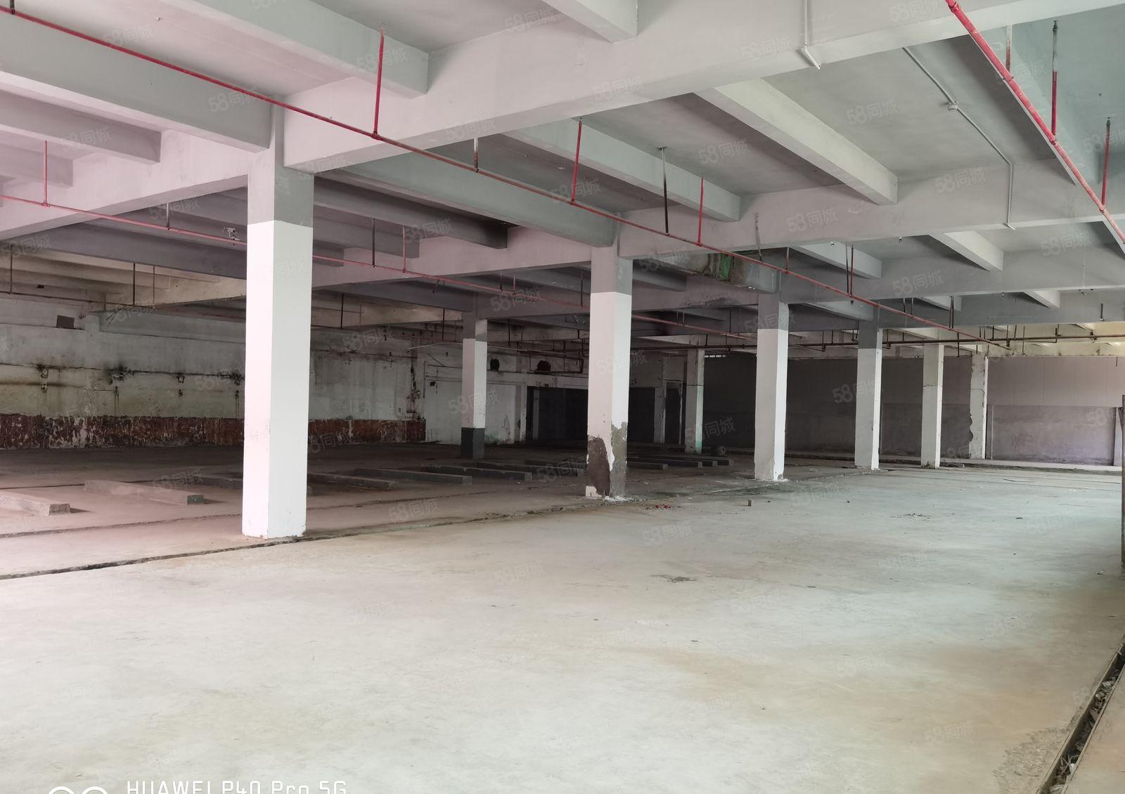 惠城区水口镇原房东自带化工证排污证线路板厂房业主直租