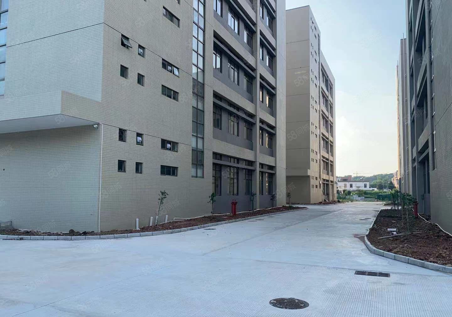 惠城区三栋镇原房东零公摊红本独门独院工业园业主直租