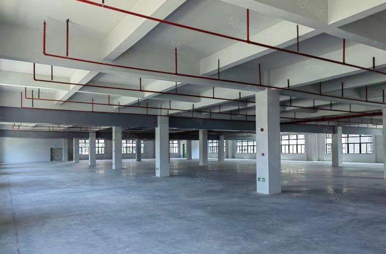 厂房出租惠城区三栋镇独栋标准厂房红本环评可整可分一楼带牛角