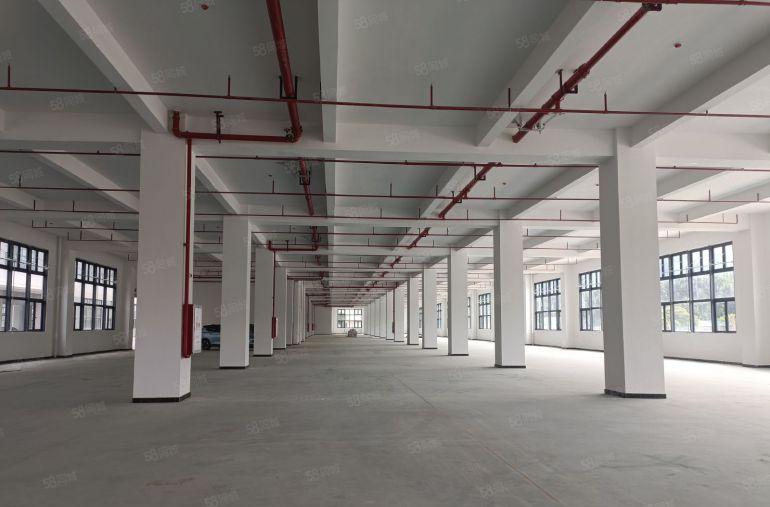 层高7.5米水口原房东一楼1100方2200方红本厂房招租