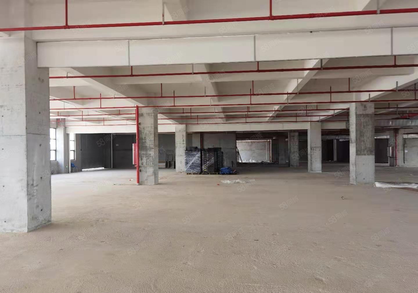 小金口全新标准独院原房东厂房单层6600平可分租水电自己交