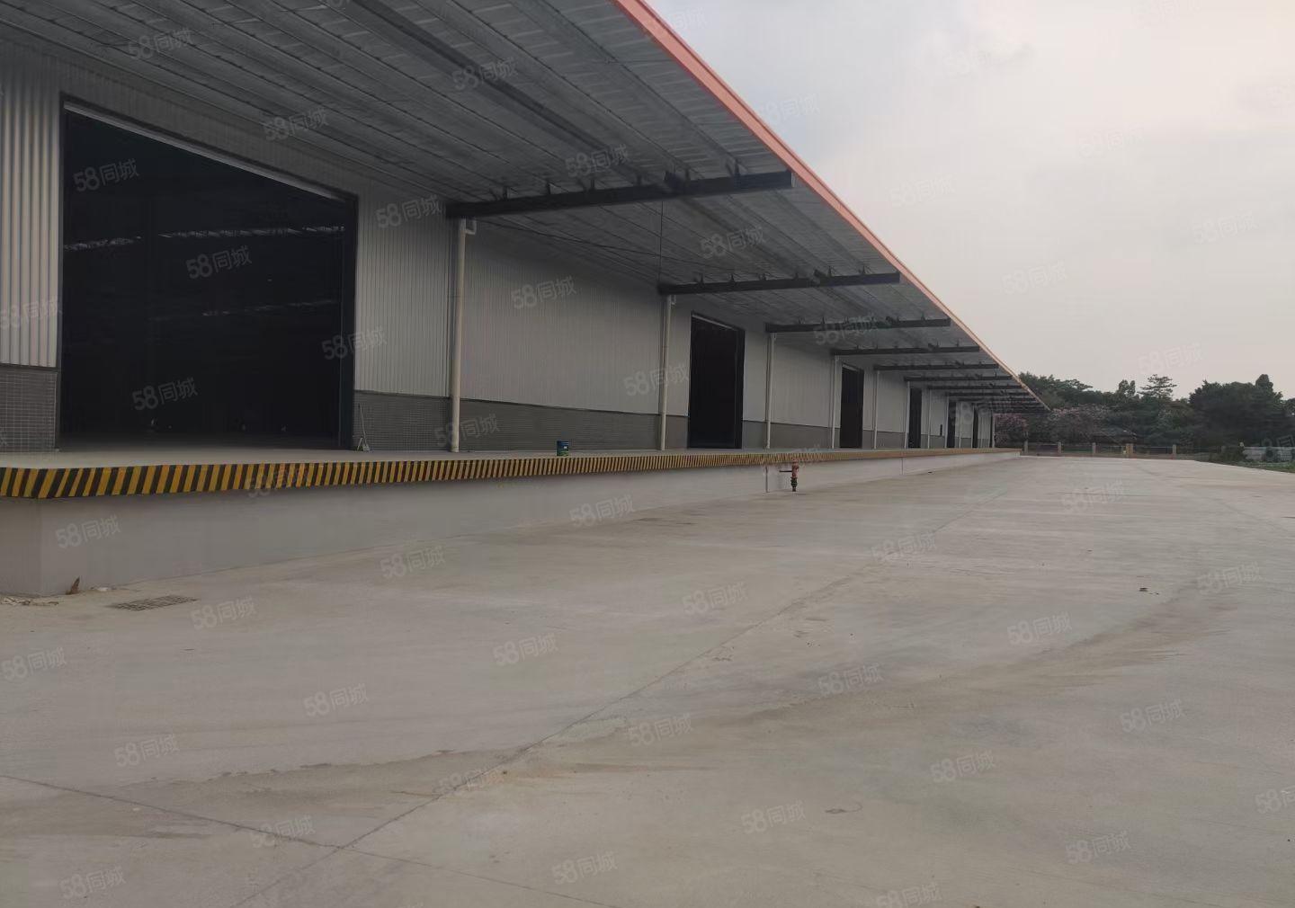 惠州大道全新滴水10米钢结构招租（价格好谈）