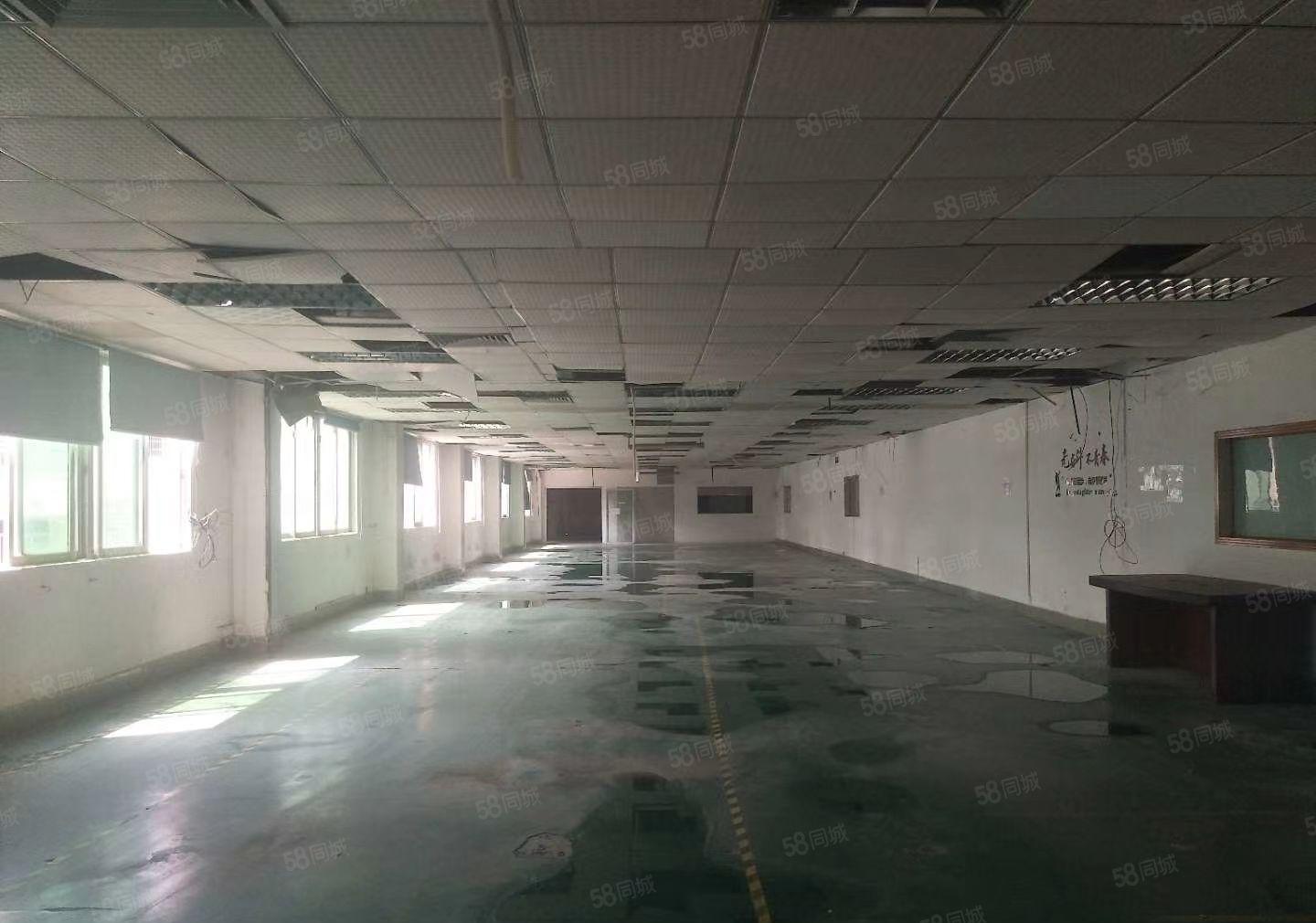 水口湖滨新空出1000平方现成装修红本厂房出租