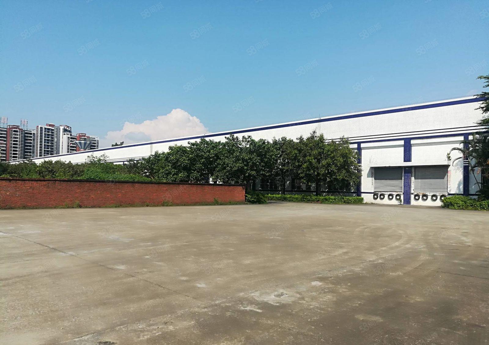 下角江南工业区一楼厂房3900平米出租 层高9米 证件齐全