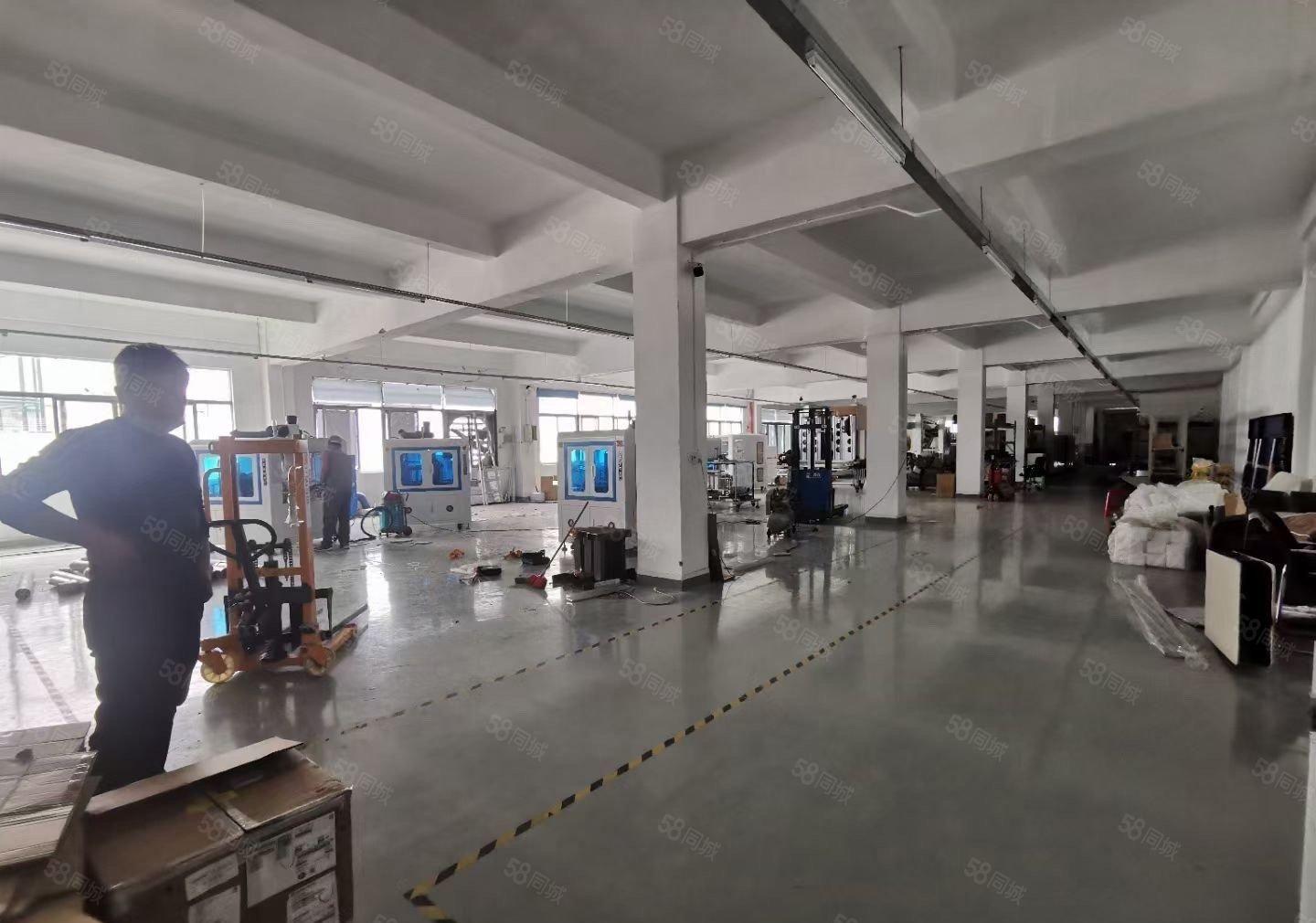 惠州小金口独门独院红本厂房9800平出租空地3500平方