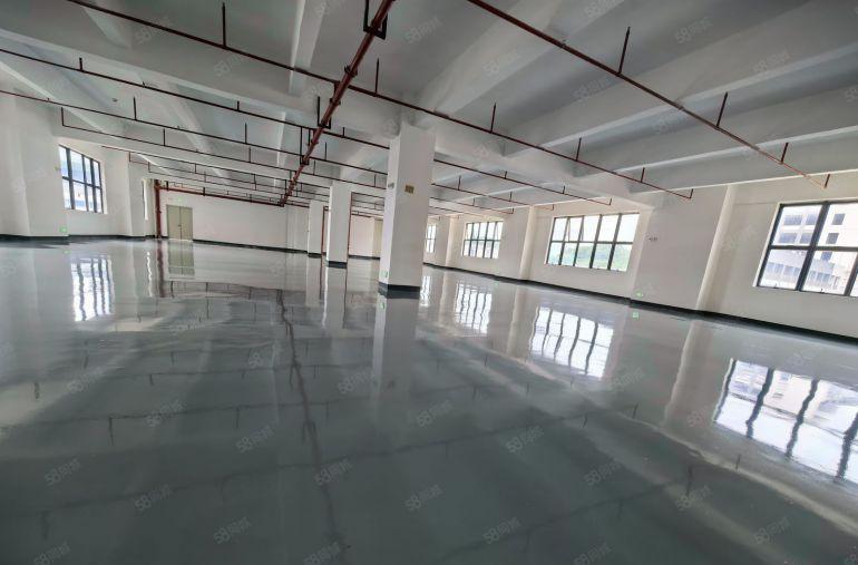 三栋数码园单层1000平标准厂房，原房东实际面积带装修地坪漆