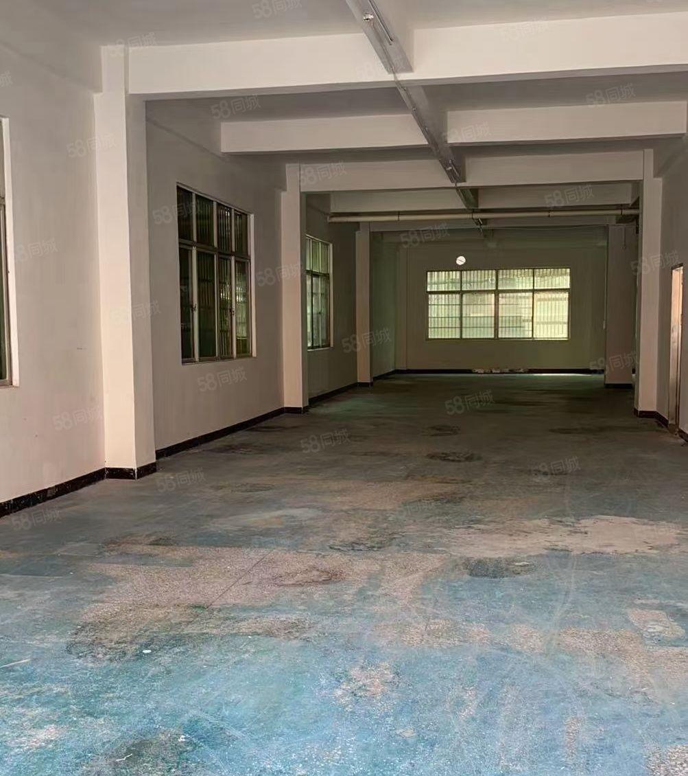 惠城区小金口原房东2楼1300平方无尘车间（无公摊）