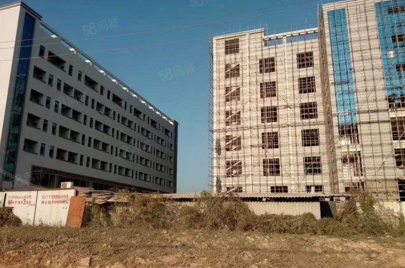 惠州水口原房东有总面积86000平方厂房招租，共3栋