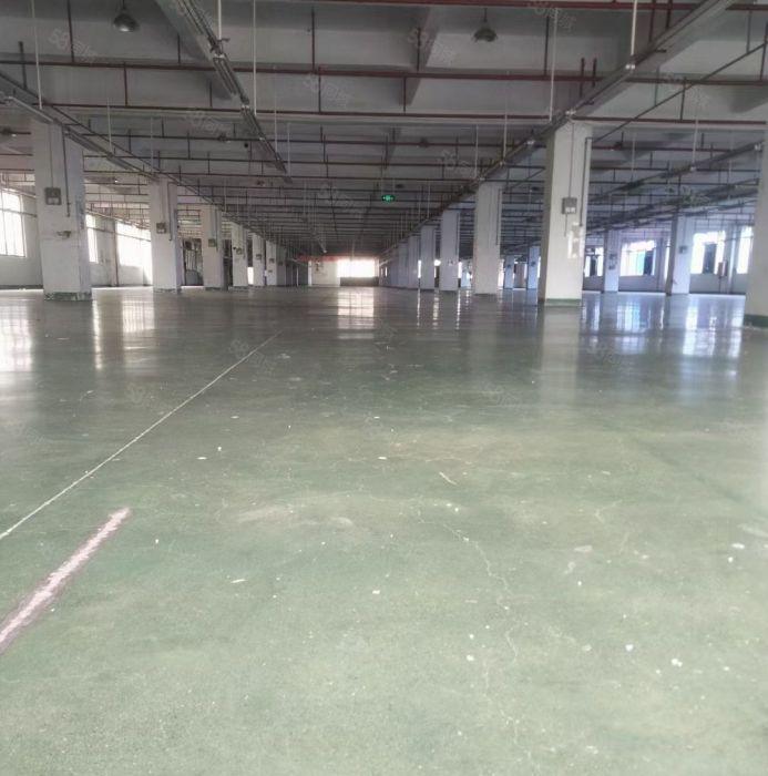 靓 三栋新出高大上10万平米厂房招租