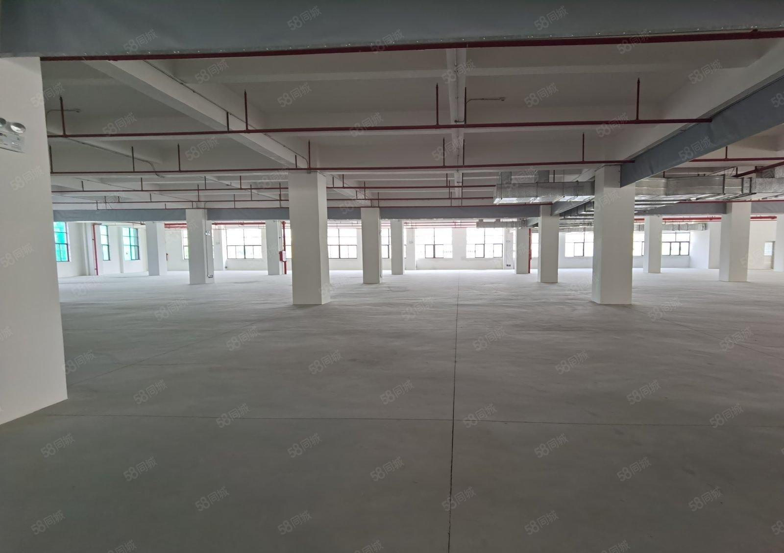 原房东淡水新建5000标准厂房招商高速口交通便利带红本可分组