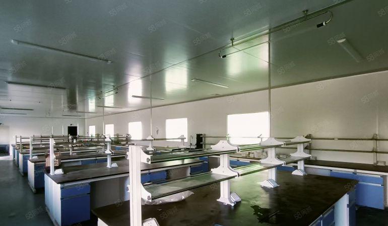 靓水口新出独院7千平米招租