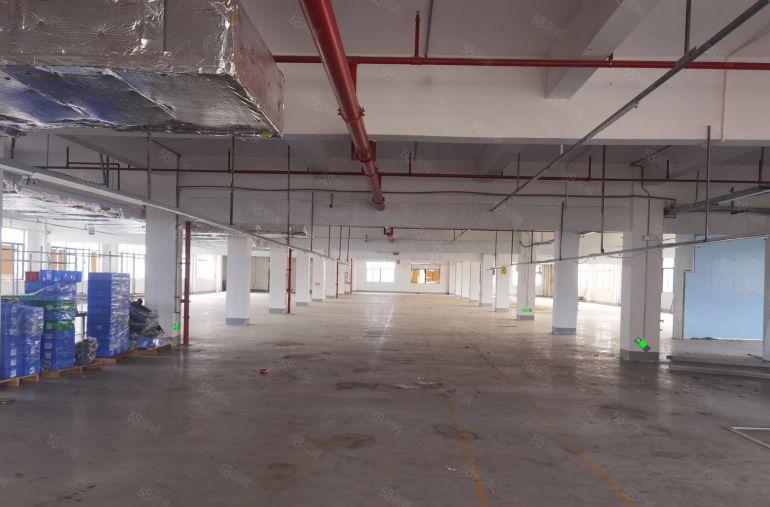马安新乐原房东电梯厂房2300平方出租，双电梯