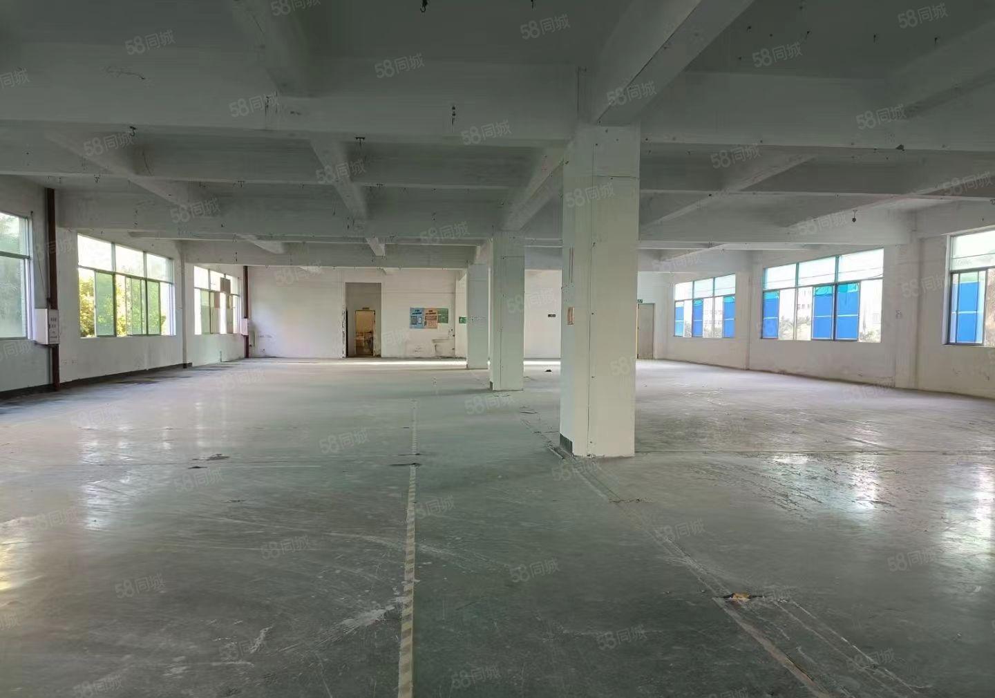 水口湖滨花园式红本厂房1560平米带装修 周边配套完善