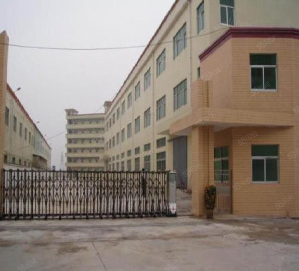 靓惠城独院厂房8000平米出租厂房空地大租金实惠交通便利