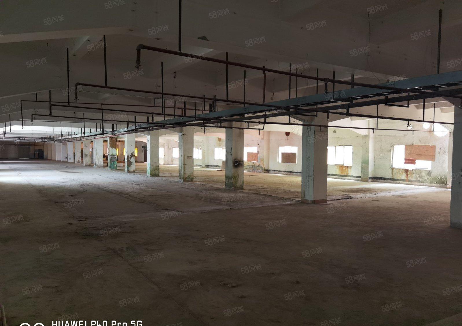 惠城区水口镇原房东红本8000平厂房出租现成证线路板生产线