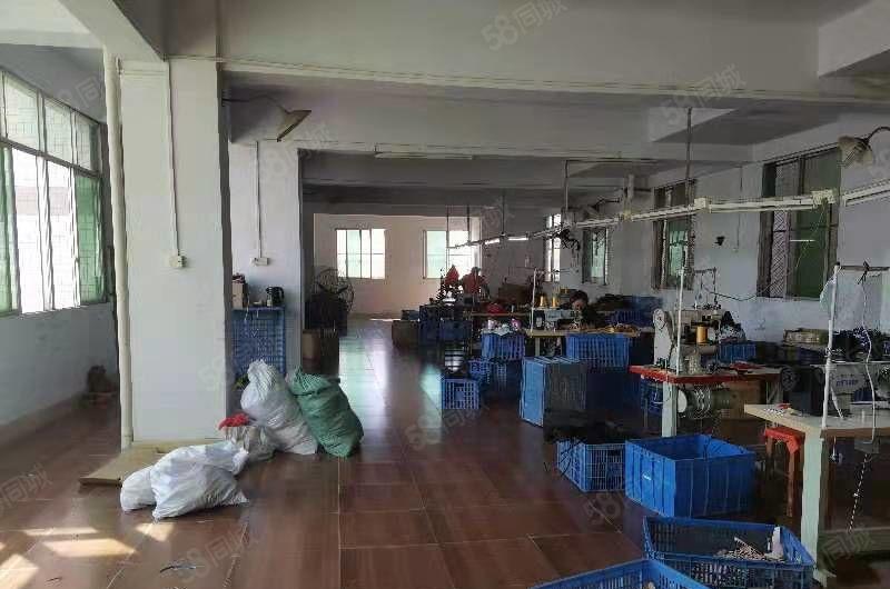 惠州市惠城区小金口原房东电梯厂房，交通便利，价格实惠