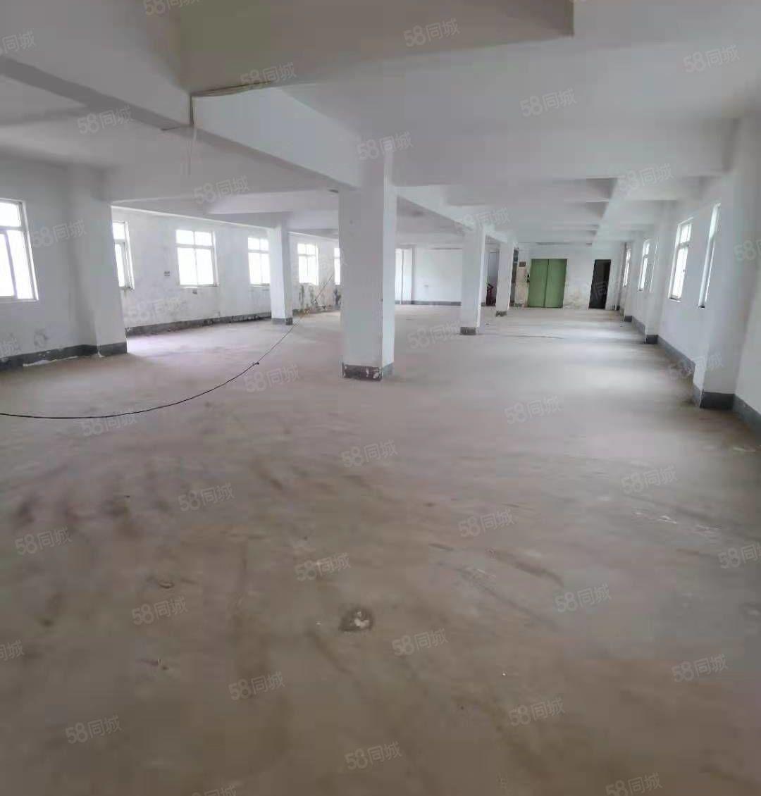 独栋带电梯三层1750平方招租 可做物流 电子行业