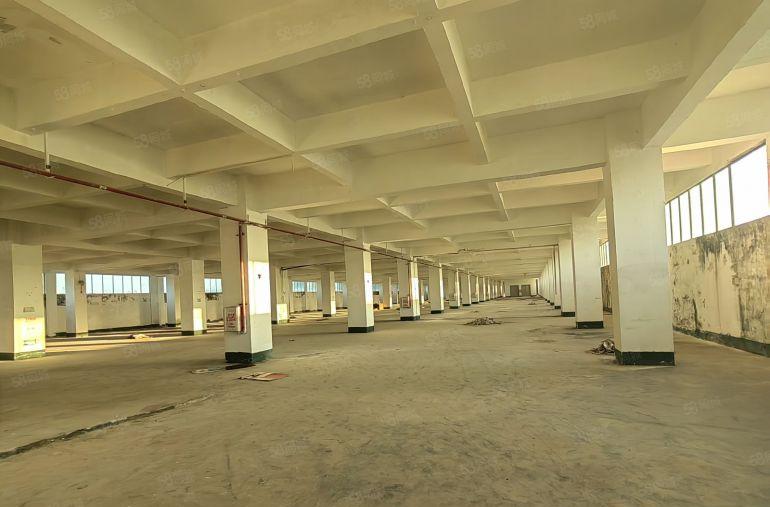 惠州厂房出租三栋厂房房东直租6800平电商仓库出租可分租厂房