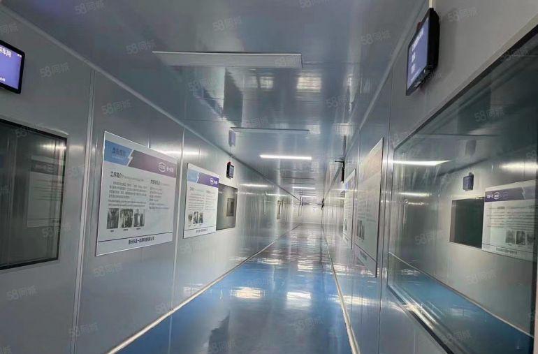 马安新乐标准一楼3700平方无尘车间，带豪华办公室无公摊