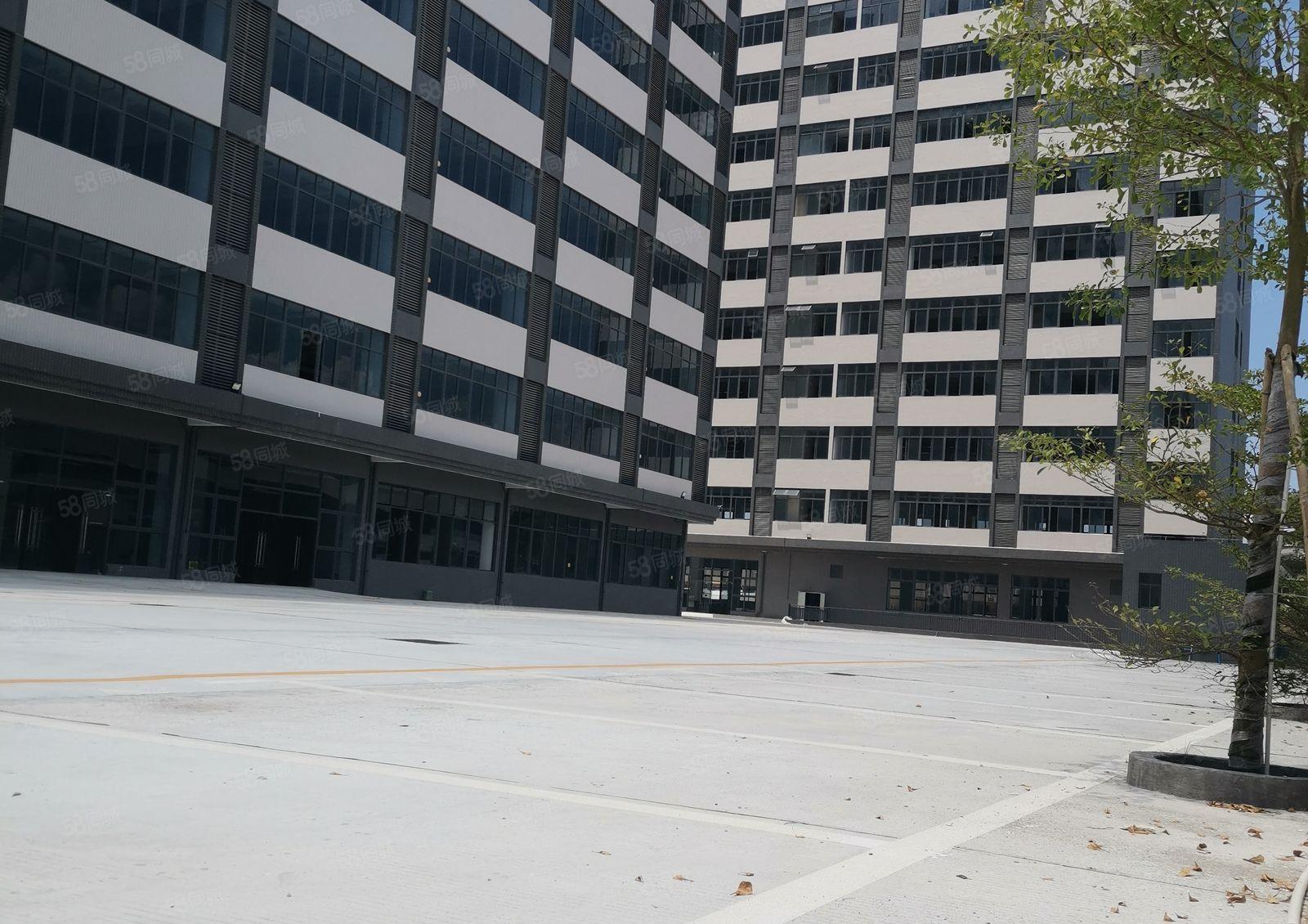 13元起租！水口东江工业区1250平方米起租，整租或分租！