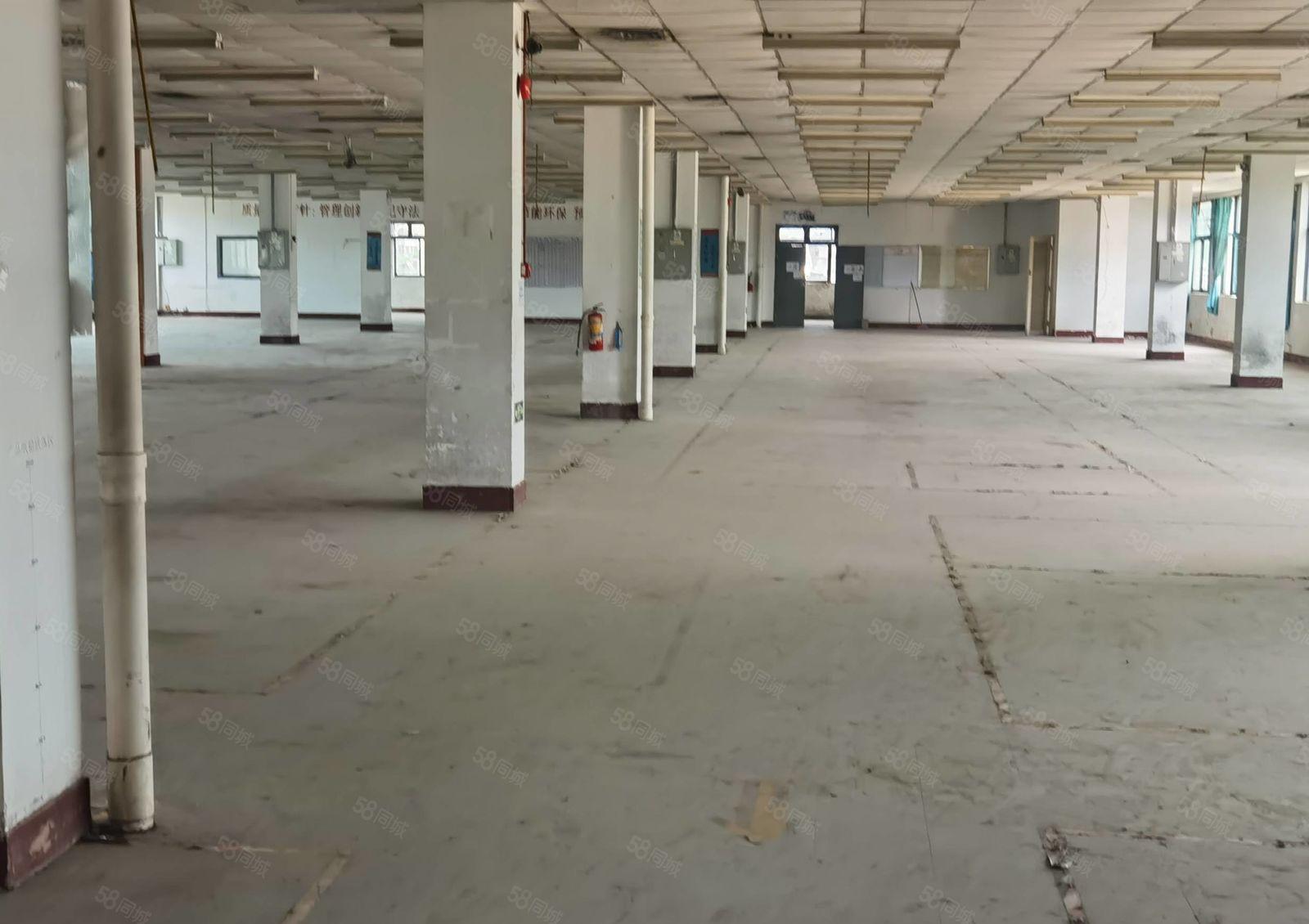 水口一楼楼房仓库1450平方出租，可进大车，空地超大