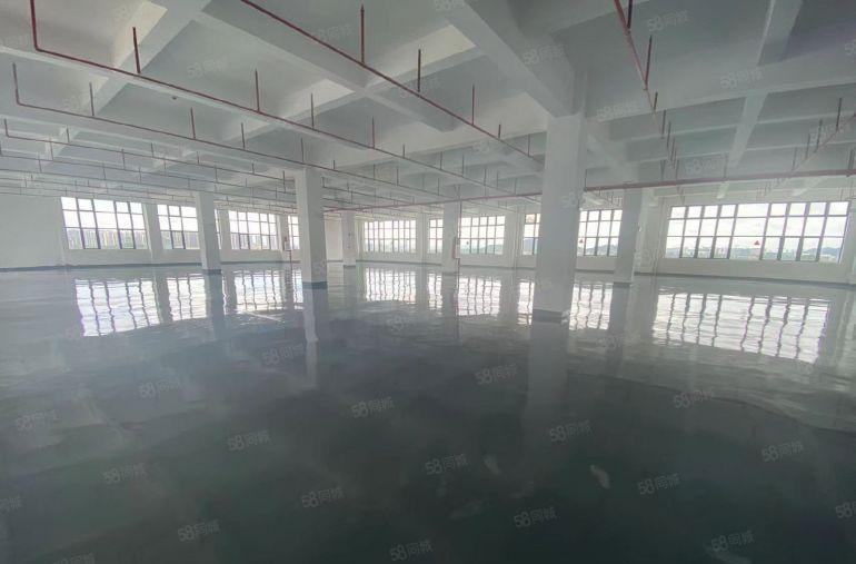 马安新乐工业区12000平原房东带地坪漆全新标准厂房出租