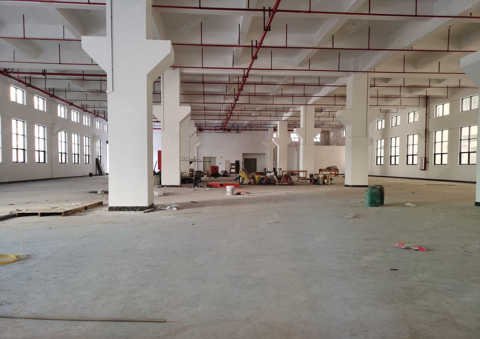 水口东江高新区原业主30000平出租