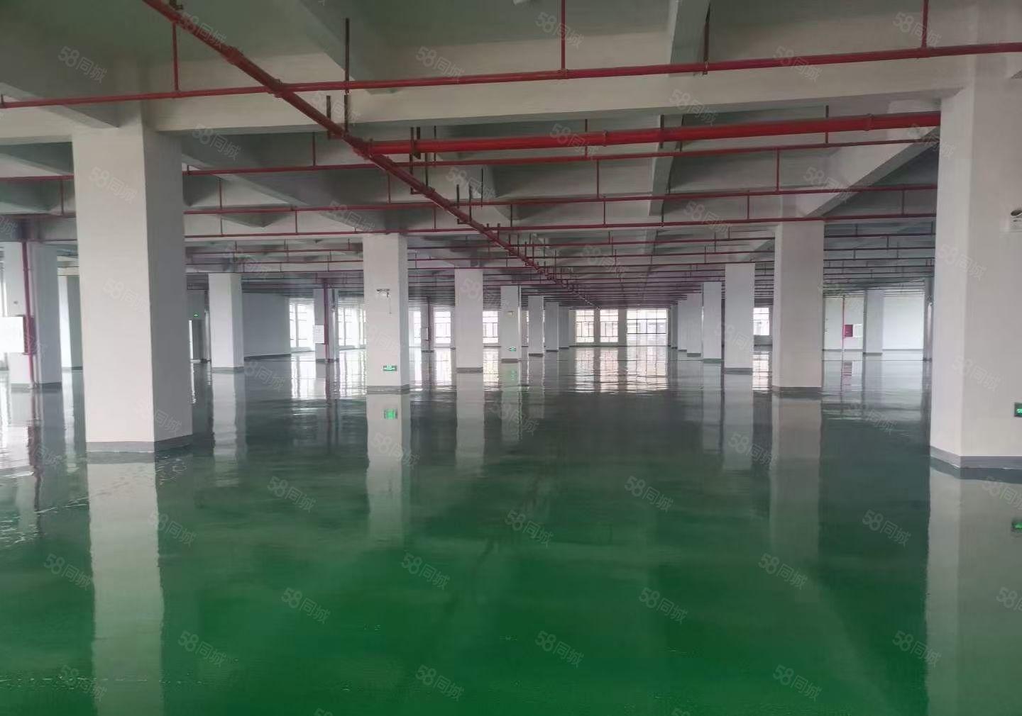 水口花园厂房二楼出租2678平方带电梯厂房可办环评