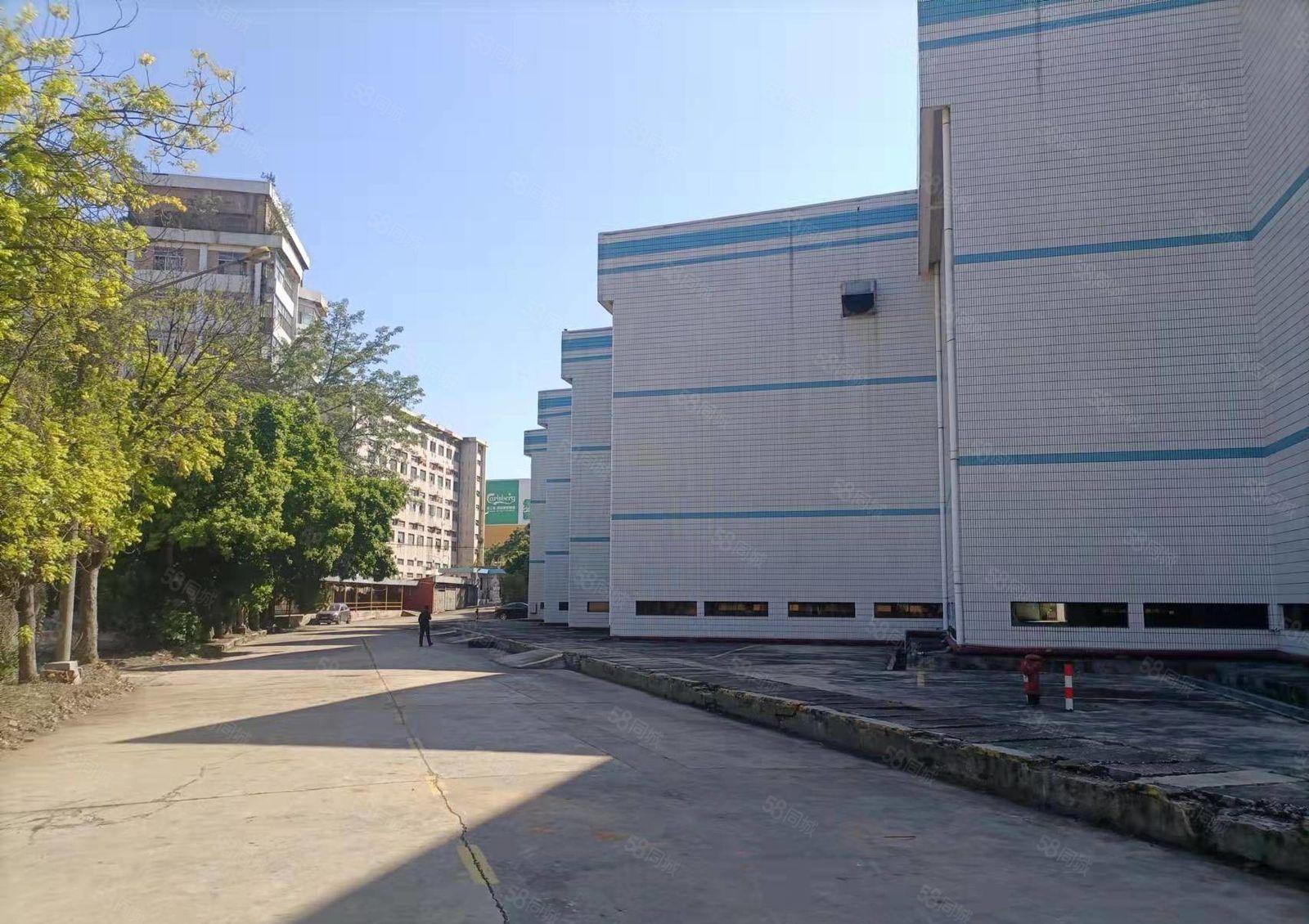 惠城区市中心新出单层14米高厂房（可做商业）