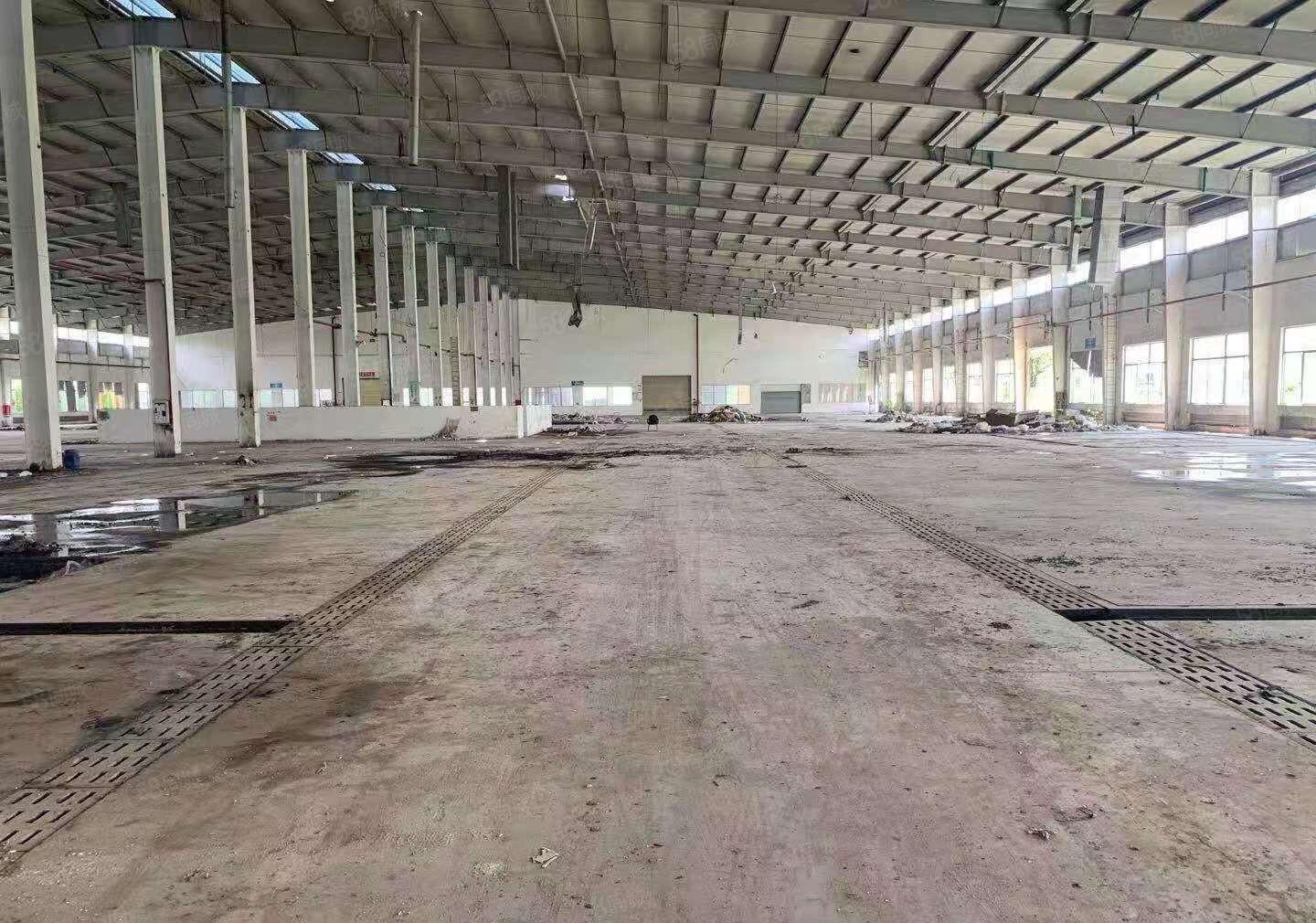 国有红本，带消防喷淋，生产及各行各业，大小可分租，宿舍按需