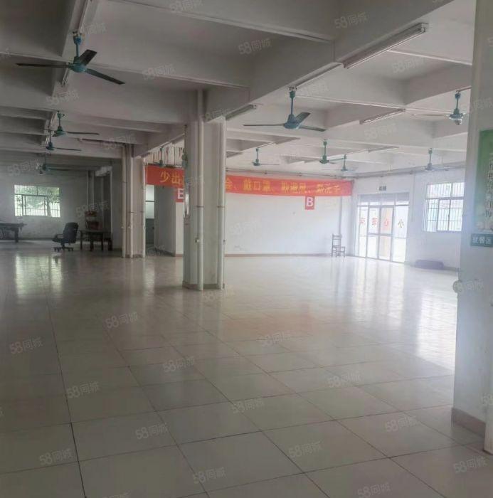 马安新乐 园区一楼650，400平厂房仓库出租 看中就租