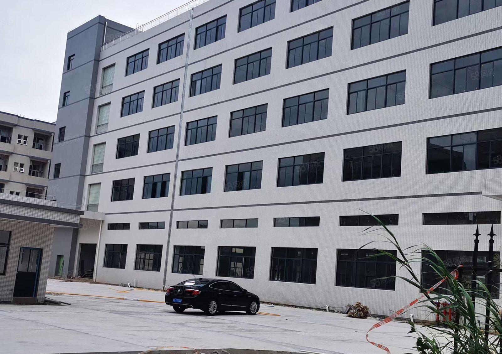 马安镇 全新一二楼单层2600平红本重工业厂房出租