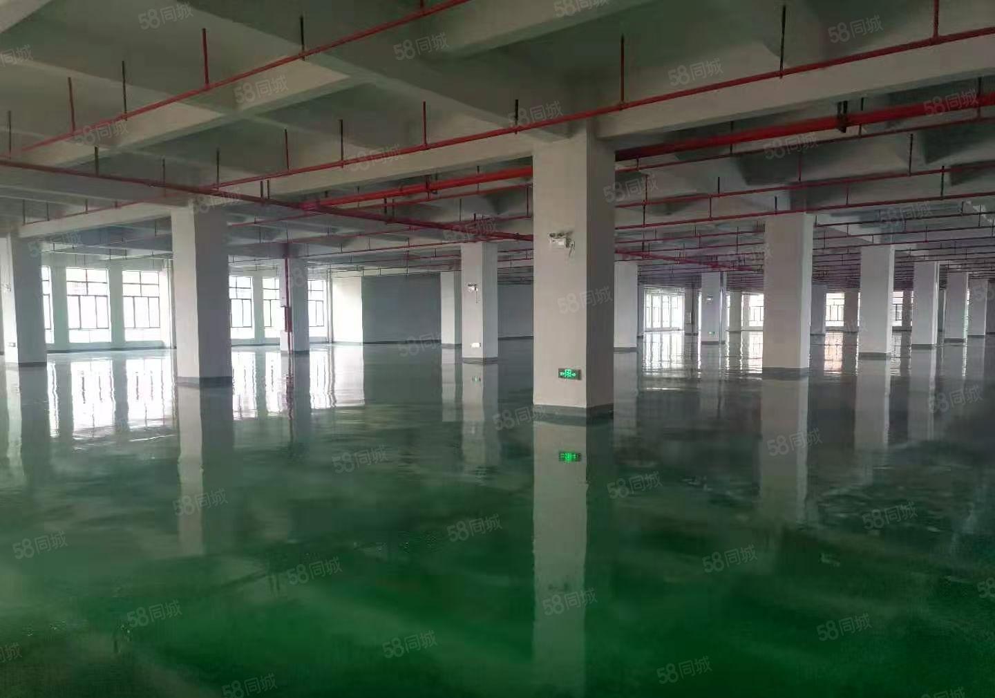 水口花园厂房二楼出租2678平方带电梯厂房可办环评