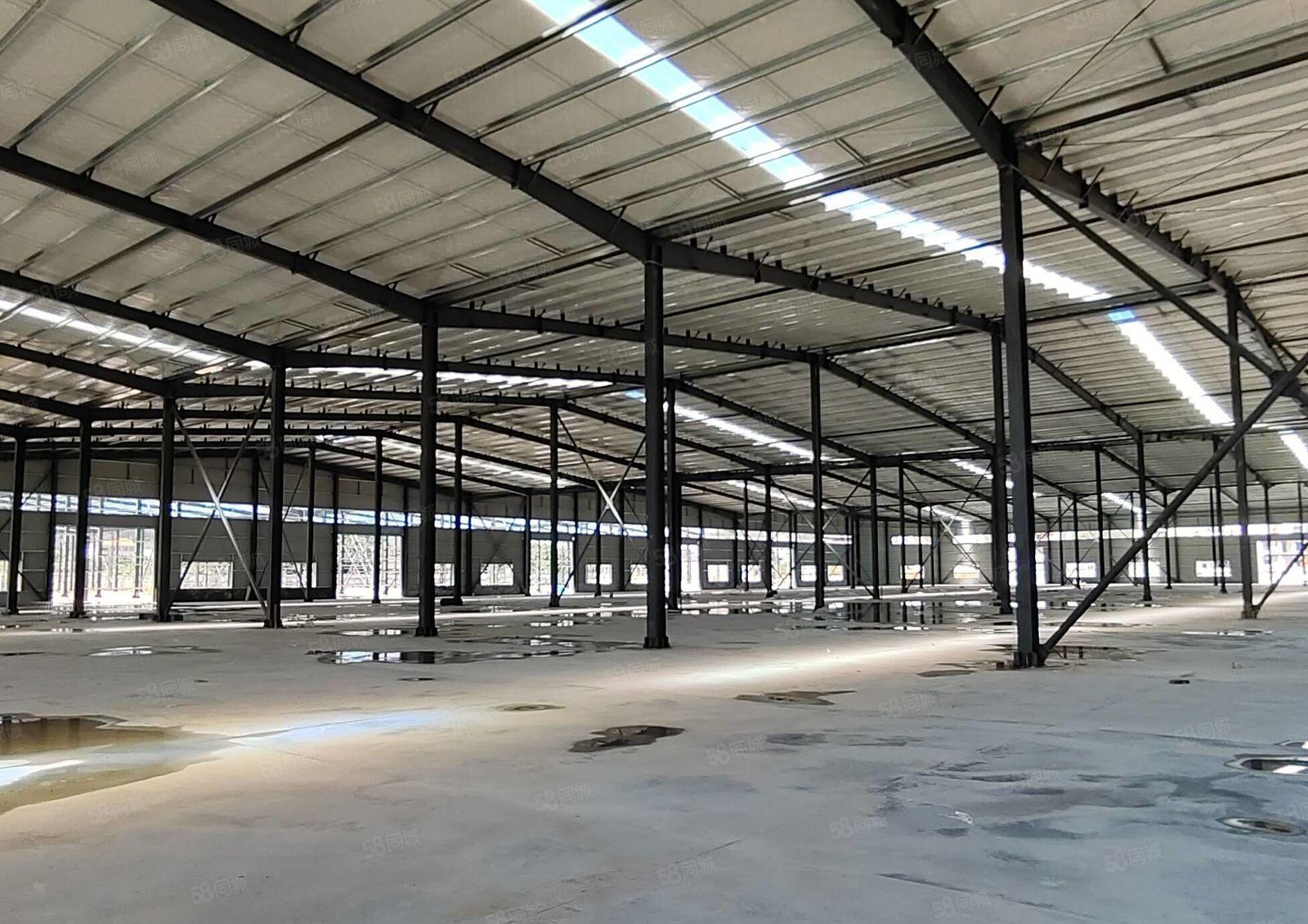 全新滴水9米钢结构厂房35200平方，可以分租