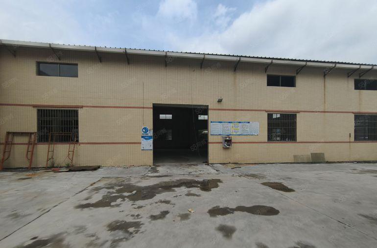 小金口镇原房东独院单一层钢构厂房出租1300平方