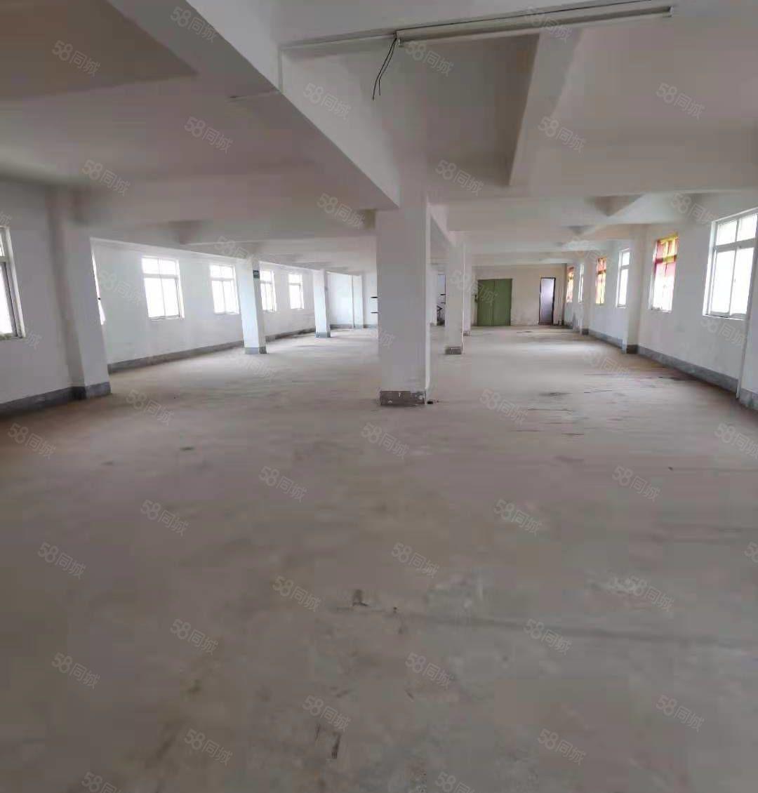 独栋带电梯三层1750平方招租 可做物流 电子行业