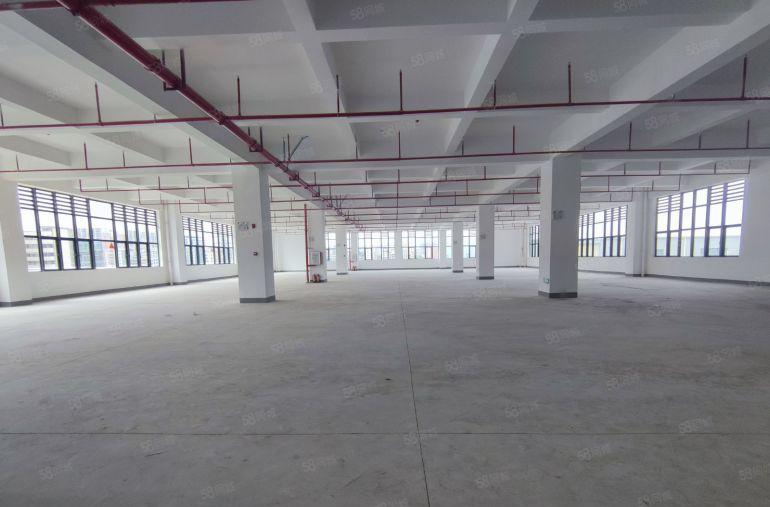 惠城区马安新乐工业区全新独栋标准厂房出租单层面积1300平起