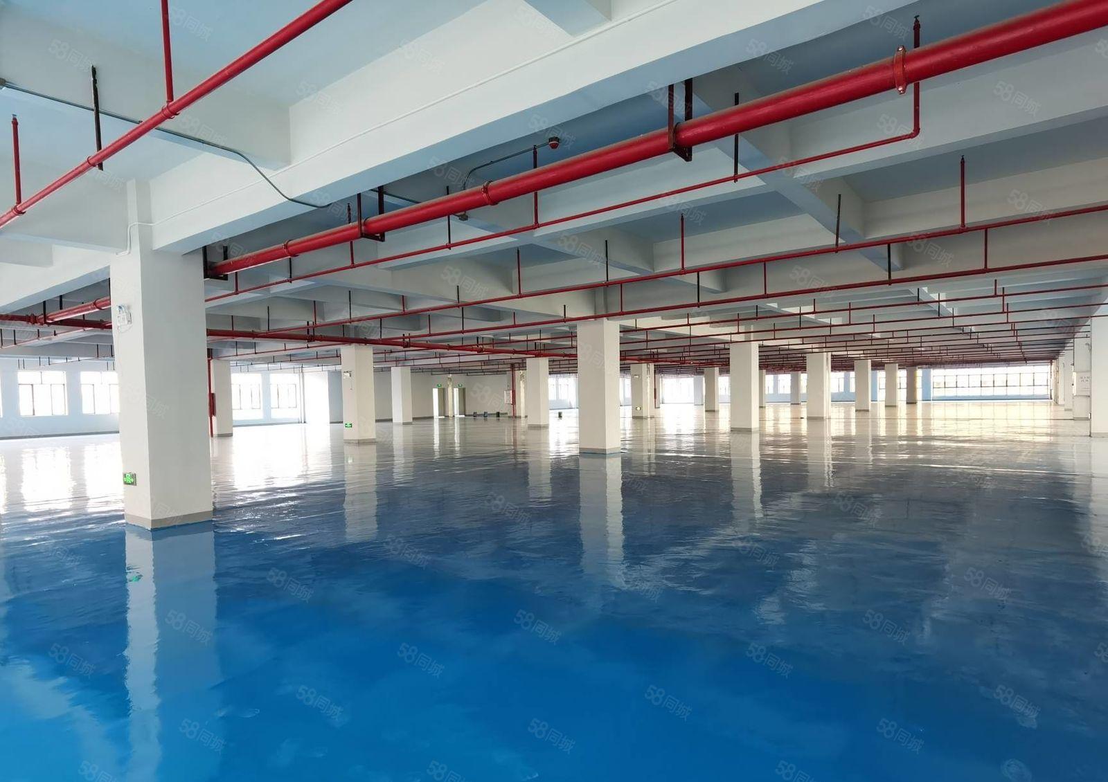 马安全新科技园厂房四楼760平米出租 带全新装修 租金11