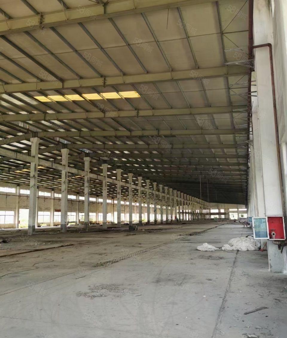 惠城区马安镇10万平方钢构厂房出租