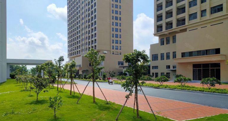 水口东江工业区8元平方全新厂房可分租