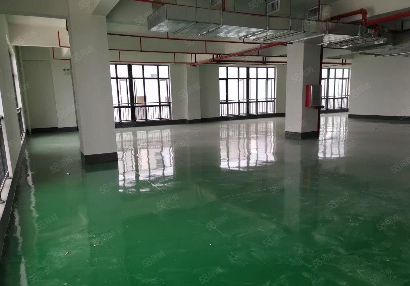 12元起惠城马安园区标准新厂房带地坪漆620平方出租