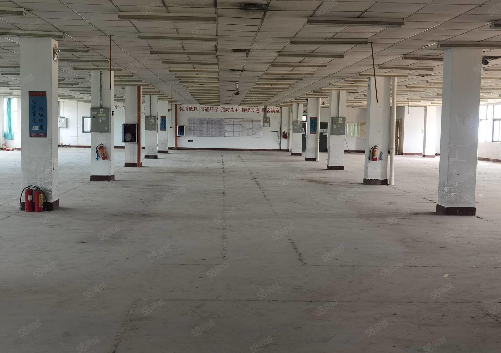 水口一楼楼房仓库1450平方出租，可进大车，空地超大