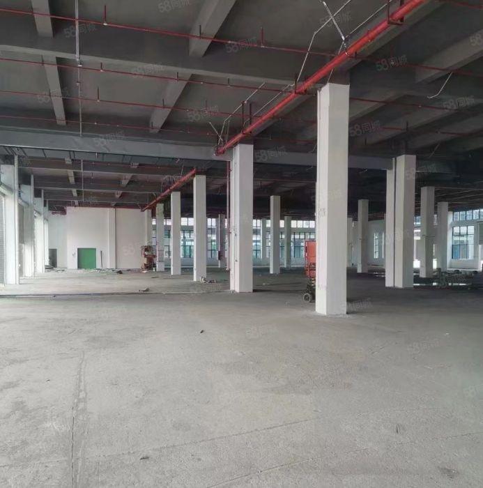 厂房出租惠州市三栋镇标准厂房双排独栋100000方1万方起租